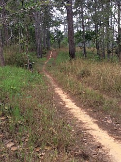 Stretch Your Legs | 50km Big Ride.