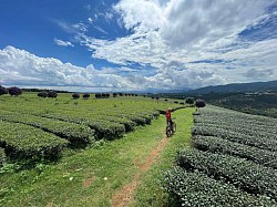 biking dalat