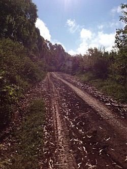 All mountain rides