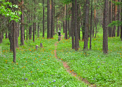 A 28Km all mountain day on forest trails with cafe break stops